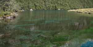 Nelson Lakes National Park