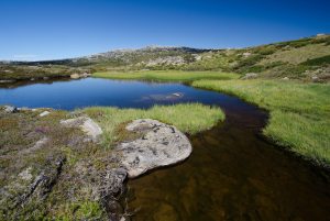 Snowy Mountains-0487