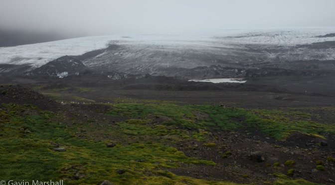 My Day In A Southern Paradise