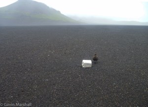 HI_Marine_Debris-1030789