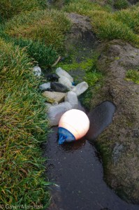 HI_Marine_Debris-2529