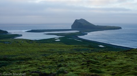 AAD_Laurens Peninsula-4322